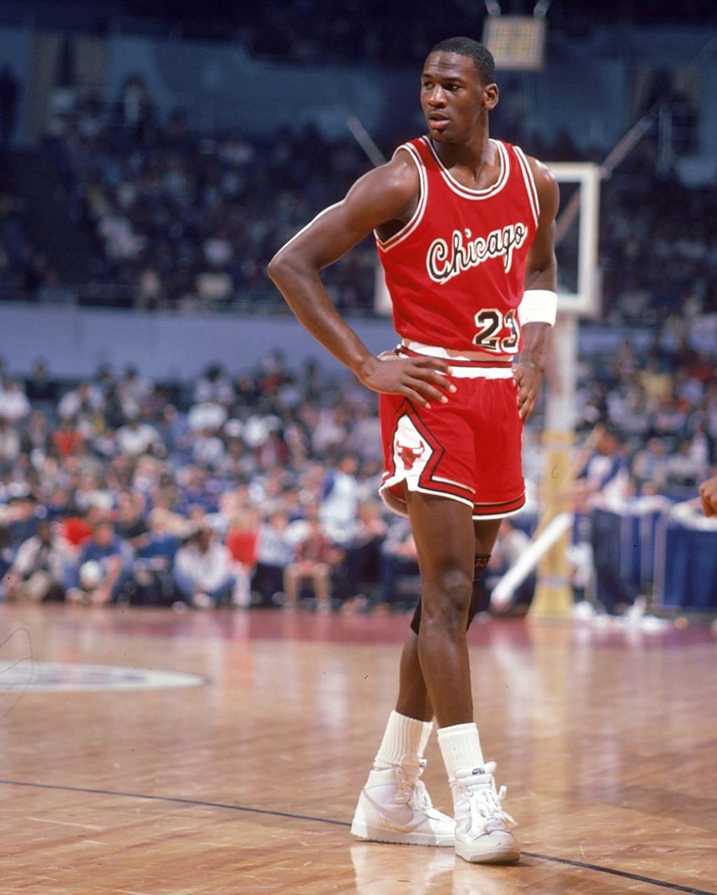 岁时便进入 岁时便进入