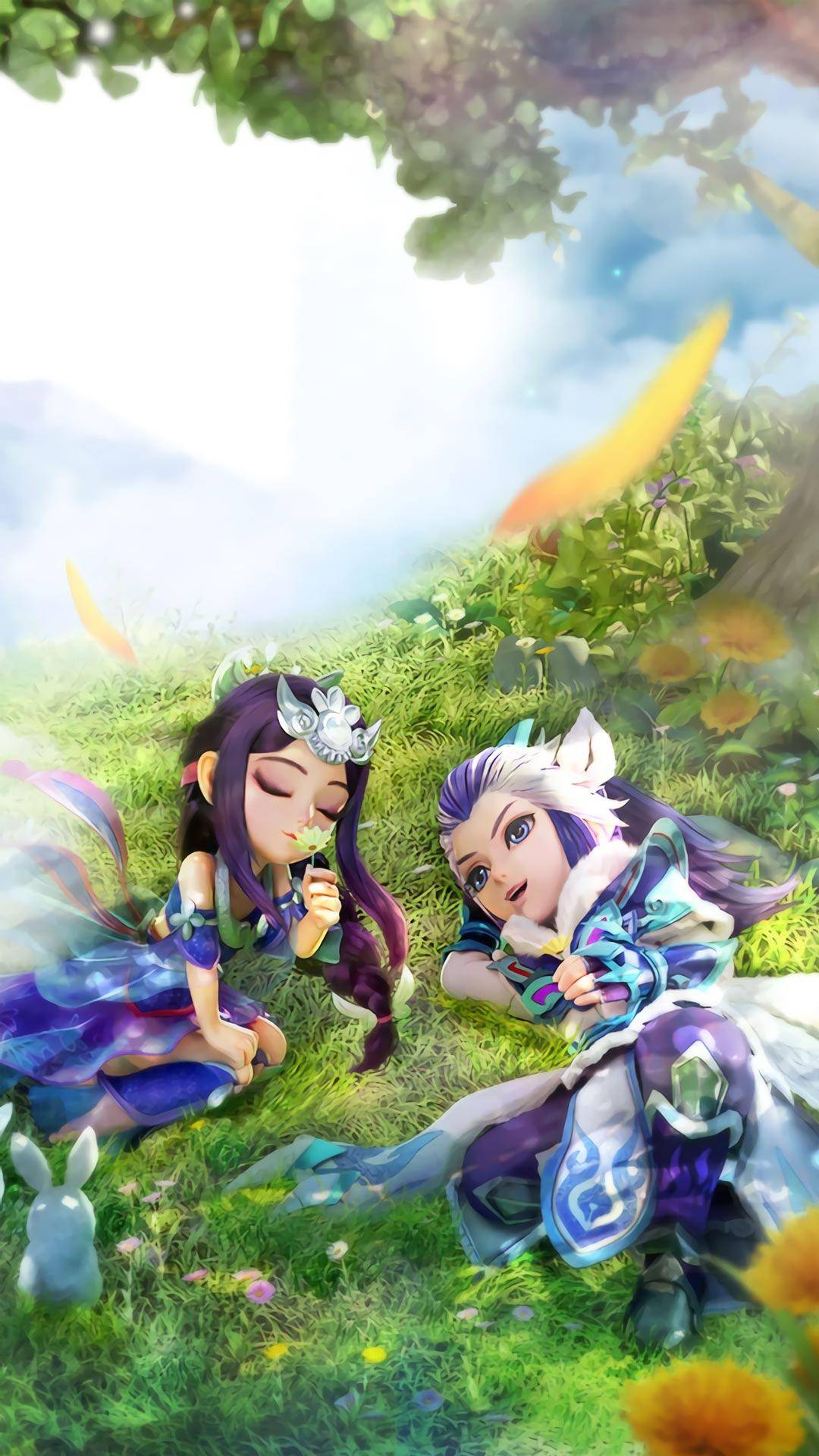 国家或地区 国家或地区