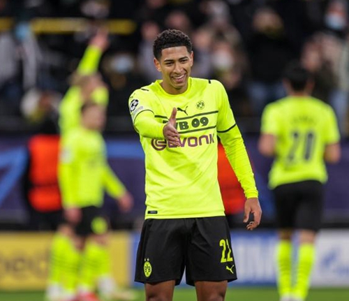 域中追逐卓 域中追逐卓